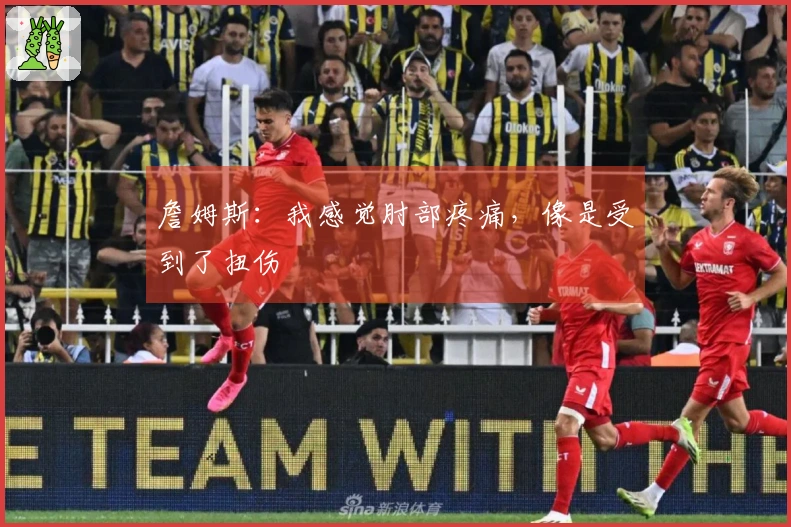 詹姆斯：我感觉肘部疼痛，像是受到了扭伤