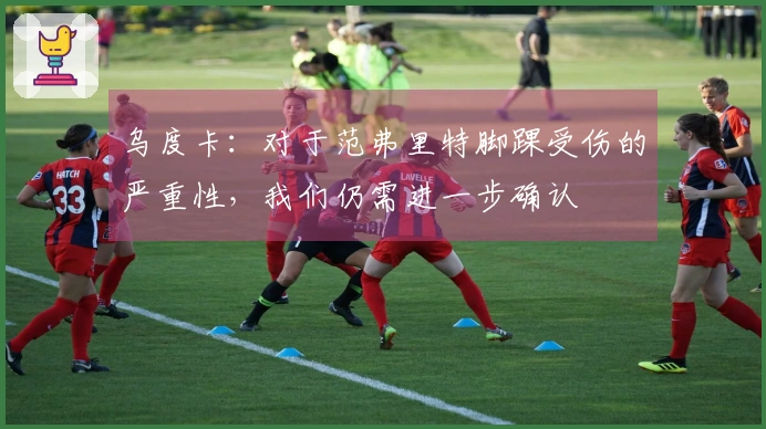 乌度卡：对于范弗里特脚踝受伤的严重性，我们仍需进一步确认