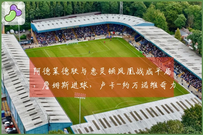 阿德莱德联与惠灵顿凤凰战成平局，詹姆斯进球，卢卡-约万诺维奇力挽狂澜