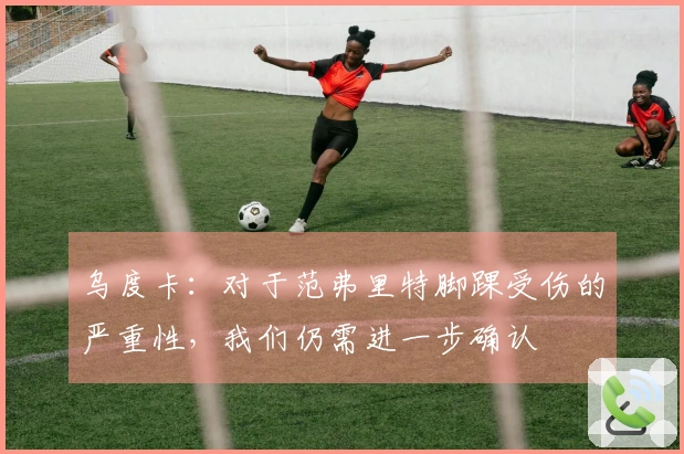乌度卡：对于范弗里特脚踝受伤的严重性，我们仍需进一步确认